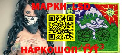 Альфа ПВП Донецк